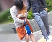 黒髪ショートの犬好き新妻。愛犬の散歩中に捕まえ新婚宅まで押し入りペットも気にせず中出し制裁